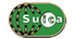 Suica